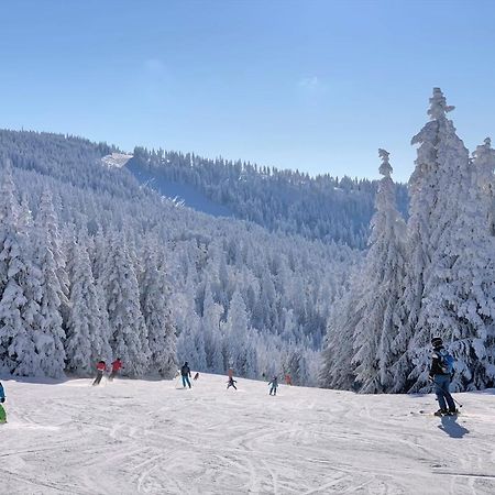 Panorama Bayerwald Leilighet Neureichenau Eksteriør bilde