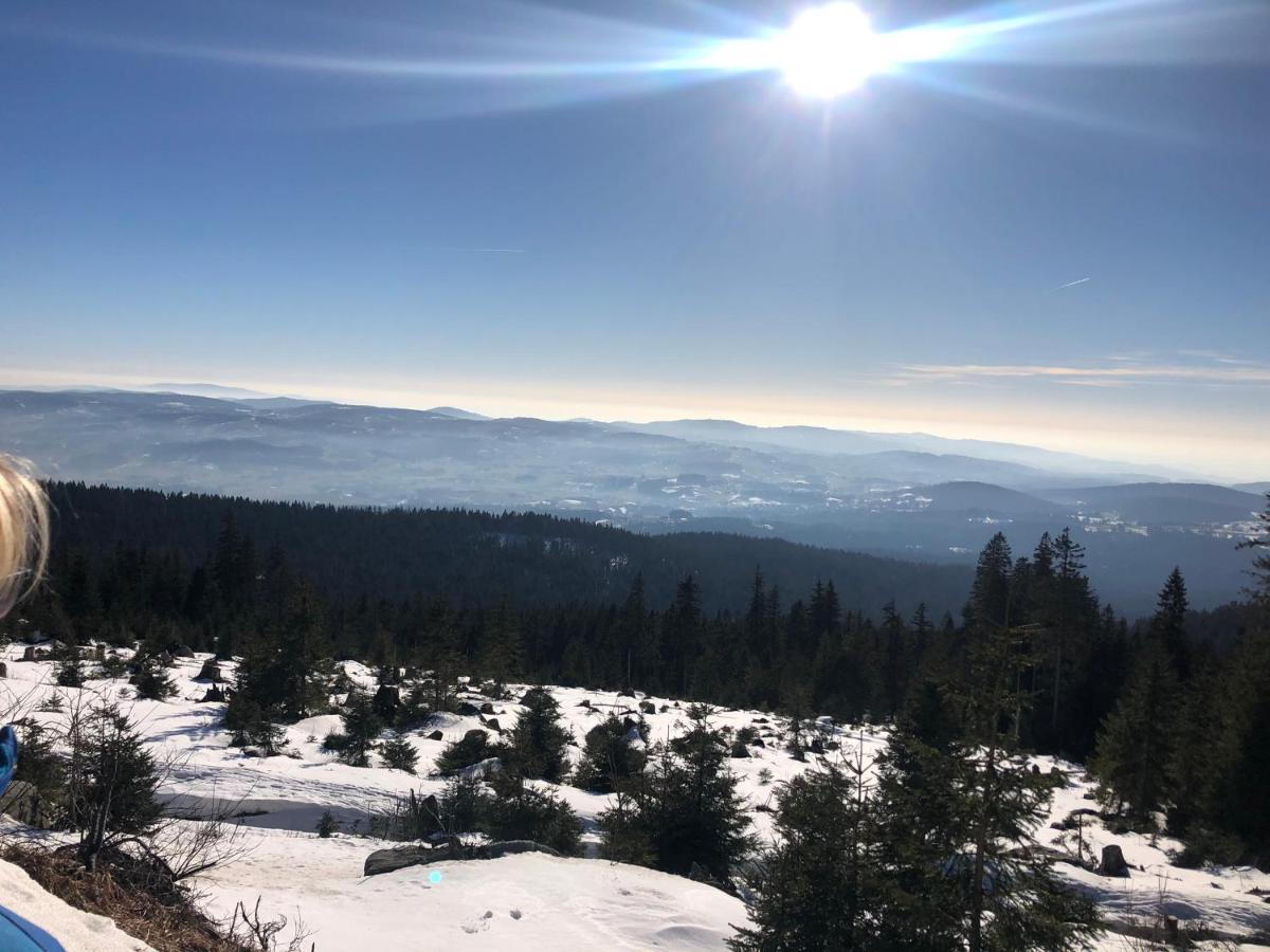 Panorama Bayerwald Leilighet Neureichenau Eksteriør bilde