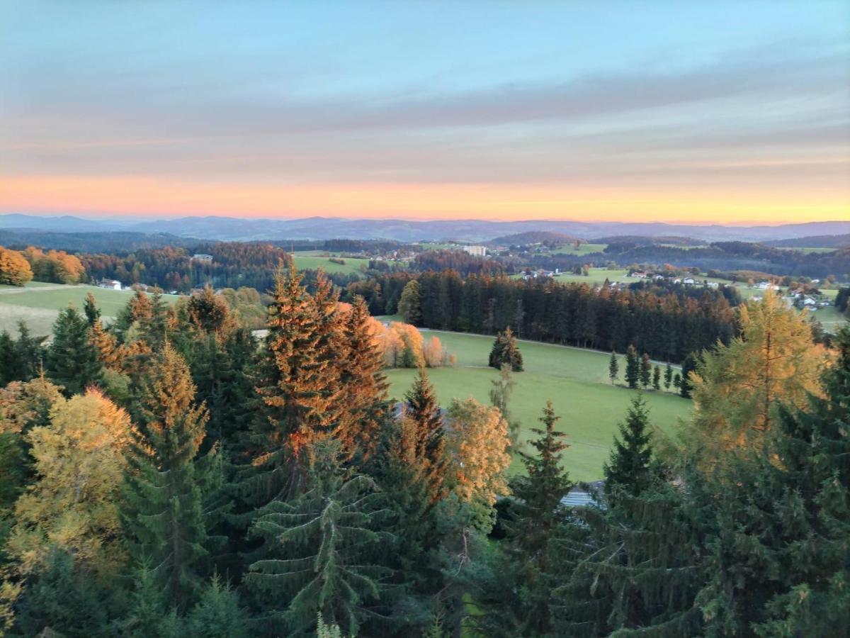 Panorama Bayerwald Leilighet Neureichenau Eksteriør bilde