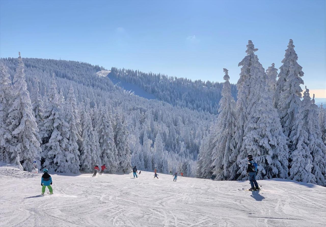 Panorama Bayerwald Leilighet Neureichenau Eksteriør bilde