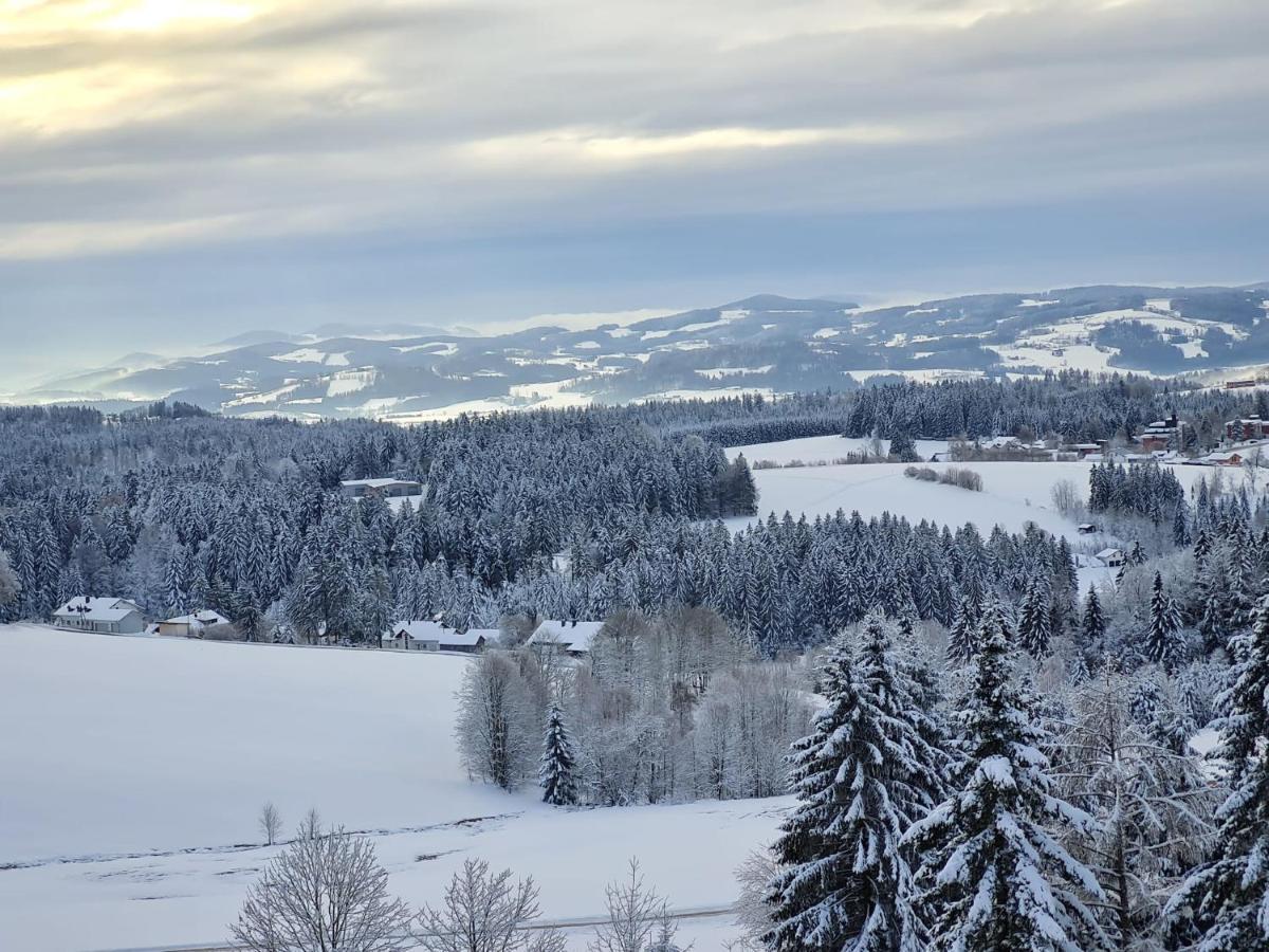 Panorama Bayerwald Leilighet Neureichenau Eksteriør bilde