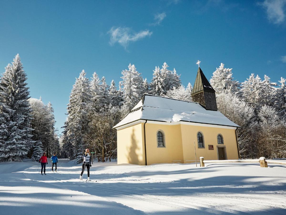 Panorama Bayerwald Leilighet Neureichenau Eksteriør bilde